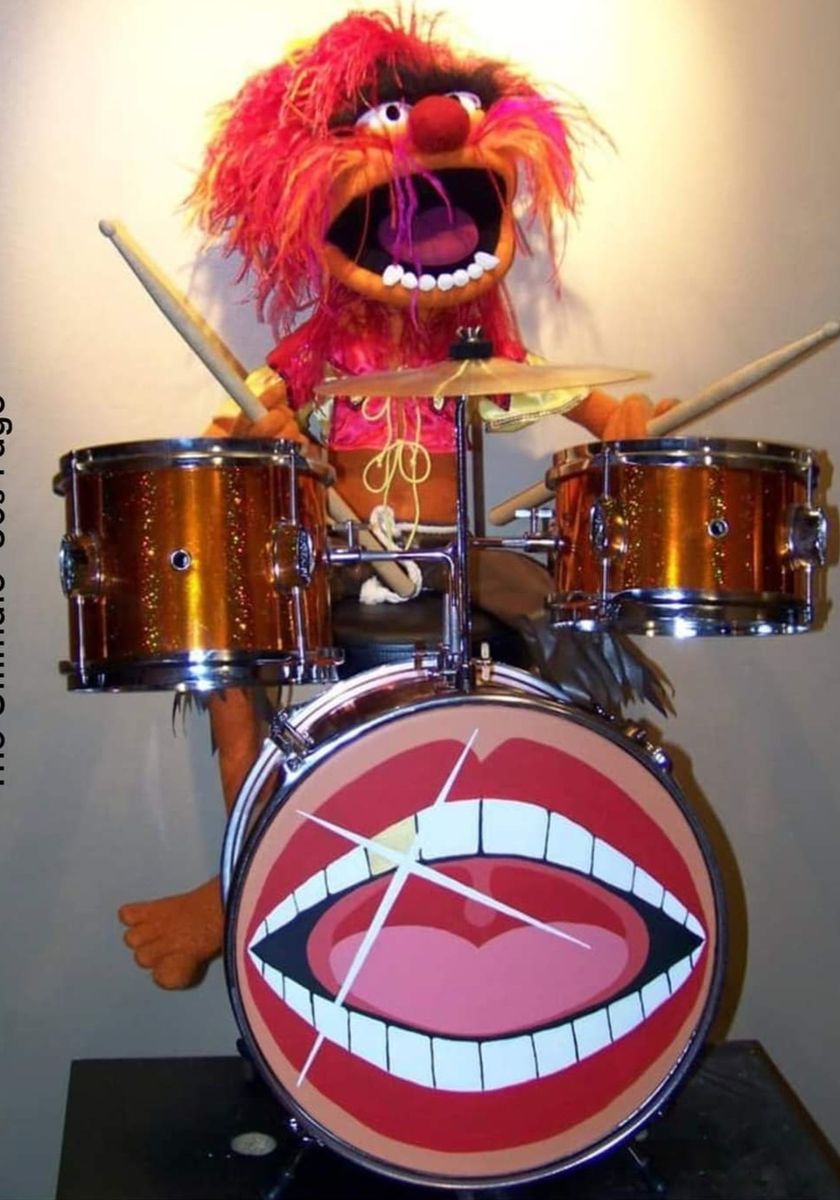 Drummer, looking for musicians or band project.