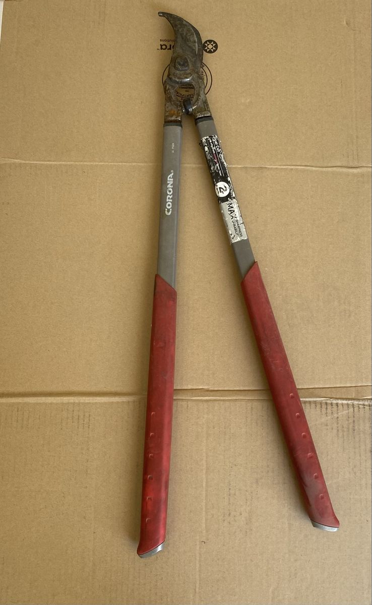 Tree branch cutter