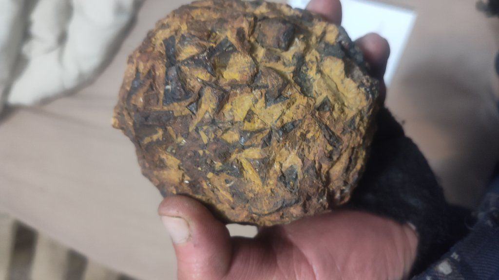 1195 gram limonite after pyrite