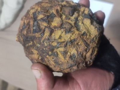1195 gram limonite after pyrite