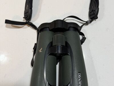 Swarovski EL 10x50 SV