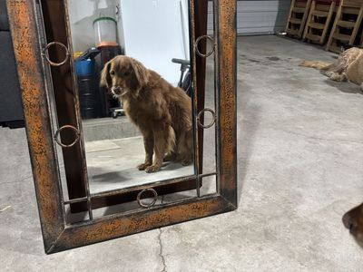 Mirror