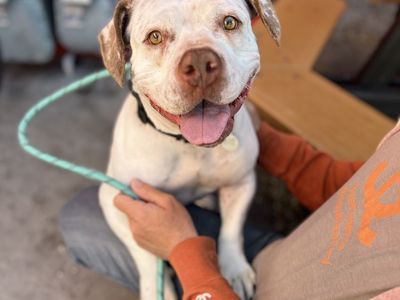 Hello my name is Summer Girl