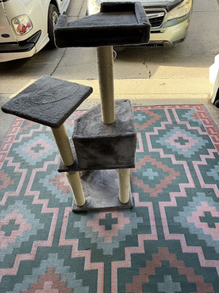Main image 6