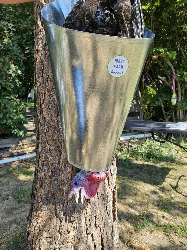 Poultry Processing Kill Cones