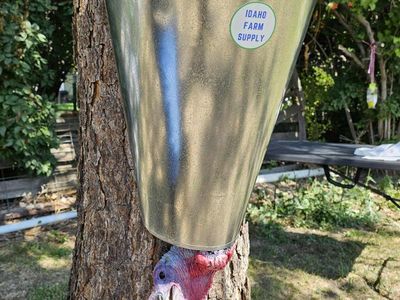 Poultry Processing Kill Cones