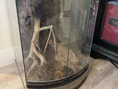 Front Opening Zilla Terrarium tank