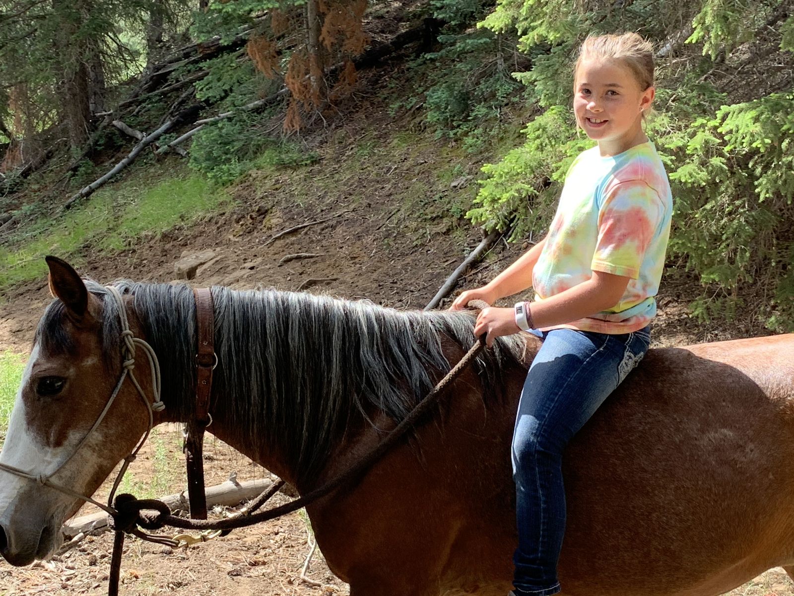 kid horse