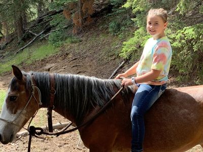 kid horse