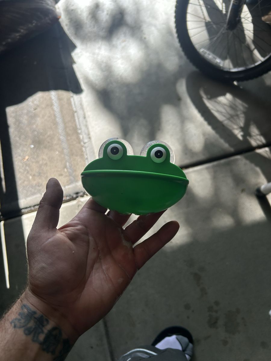 Reptile decor