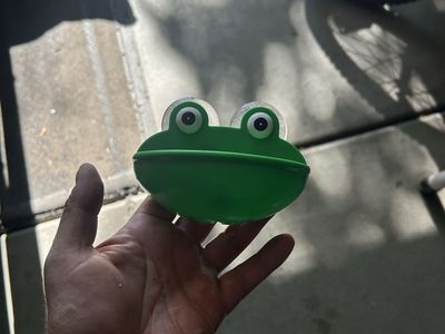Reptile decor