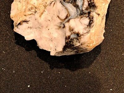 High Contrast Rough Dendritic Opal - 2.72 OZ