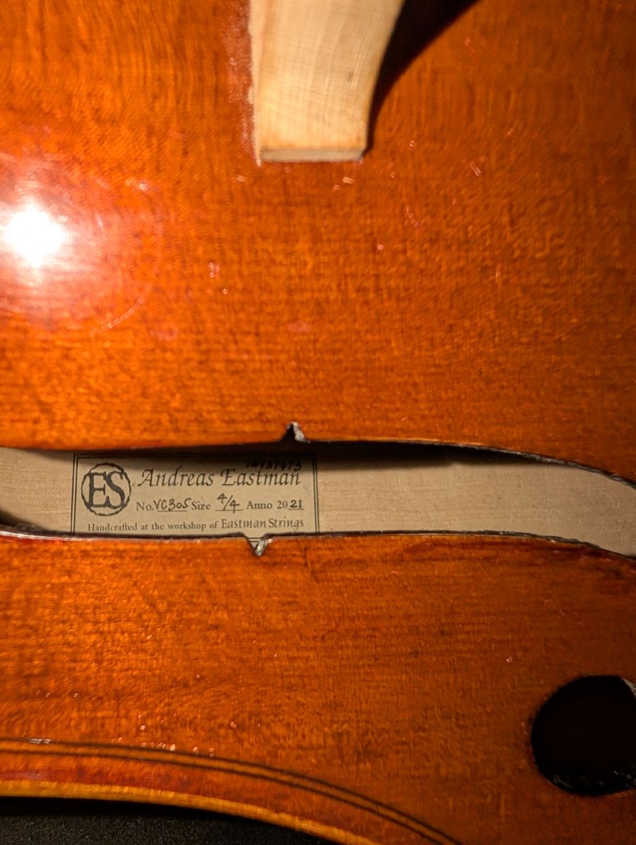 Main image 7