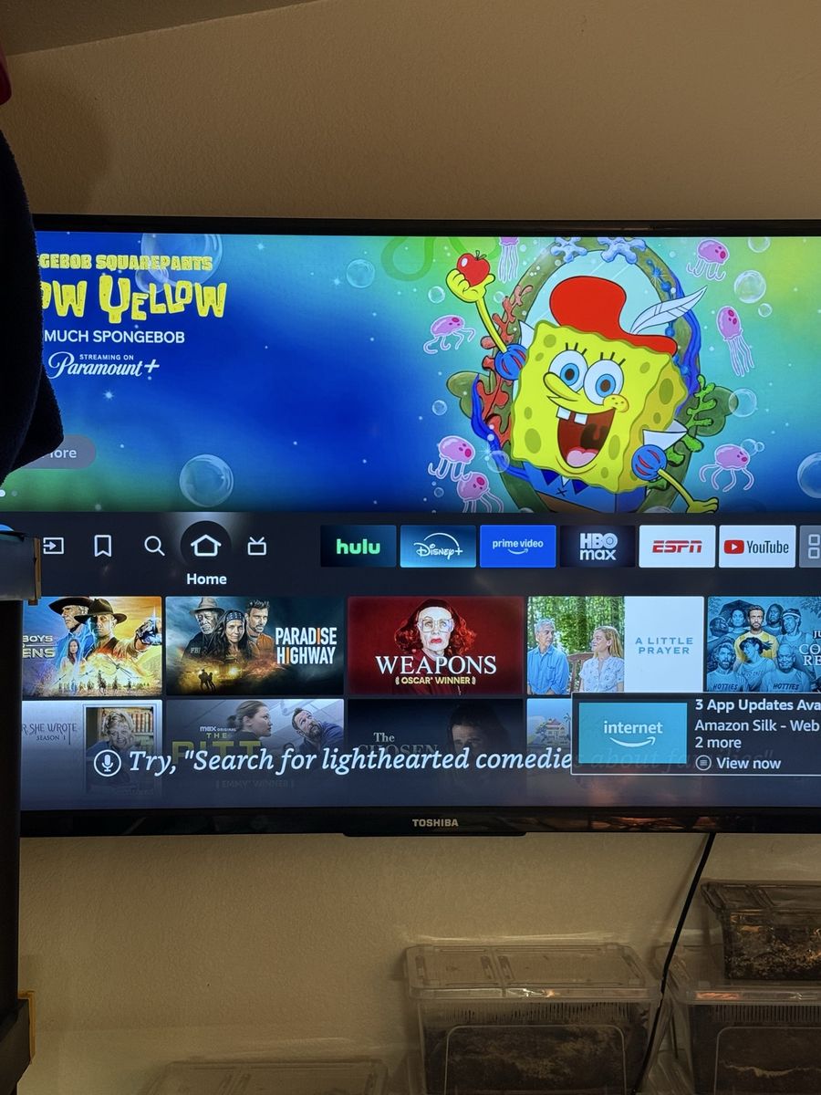 Toshiba Flat Screen TV