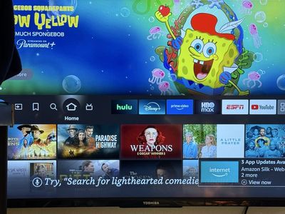 Toshiba Flat Screen TV