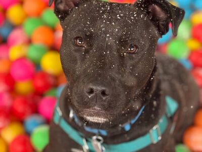 Hello my name is Hemi