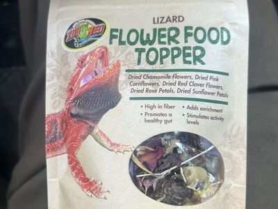 Lizard /tortoise Flower Topper