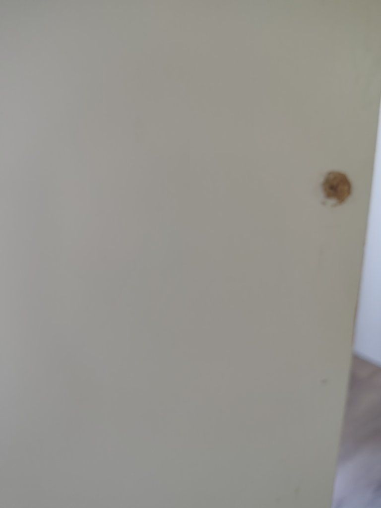 Main image 5