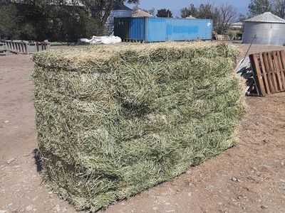 New 1st Crop Alfalfa Bundles
