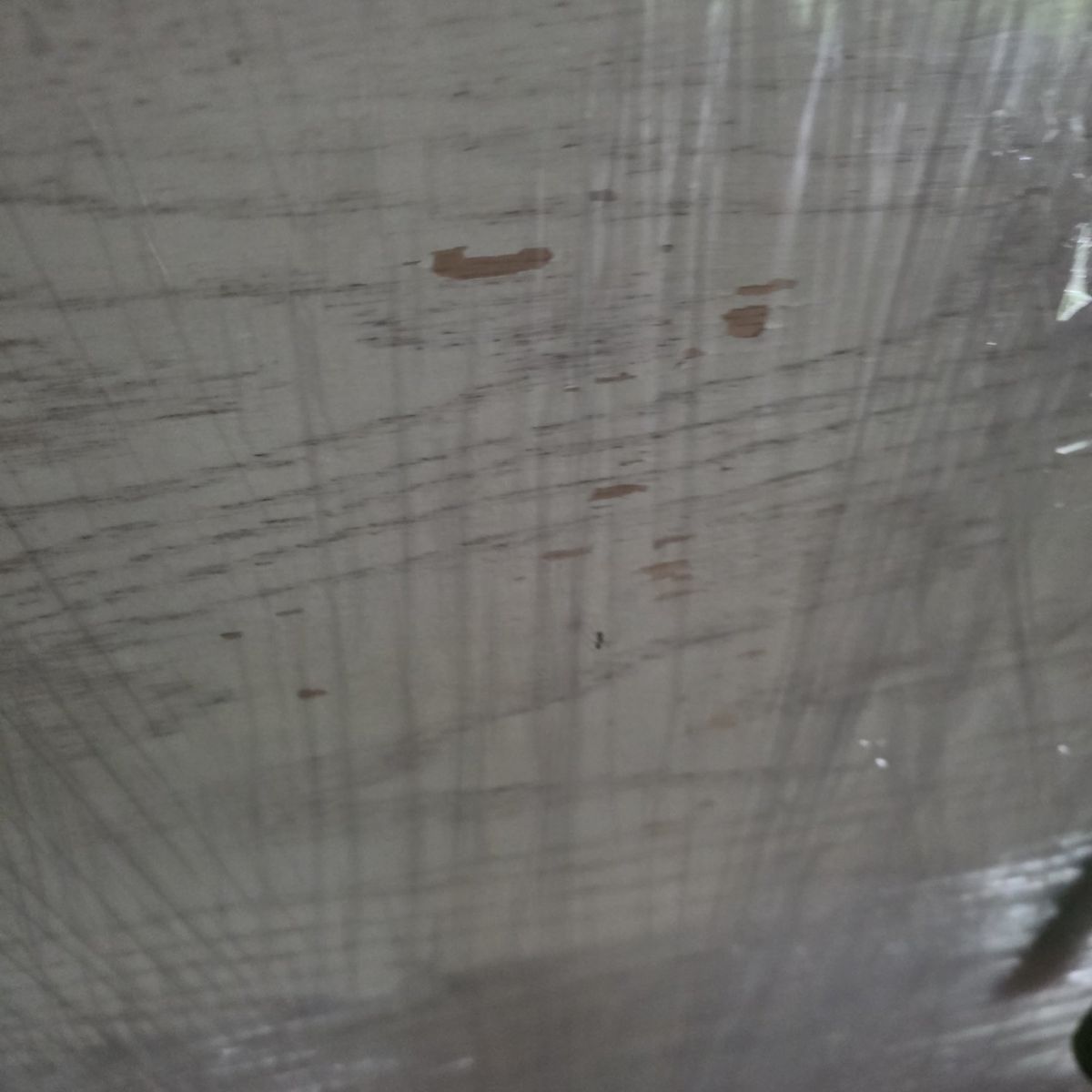Main image 4