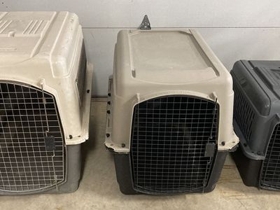 Dog Kennel Carriers