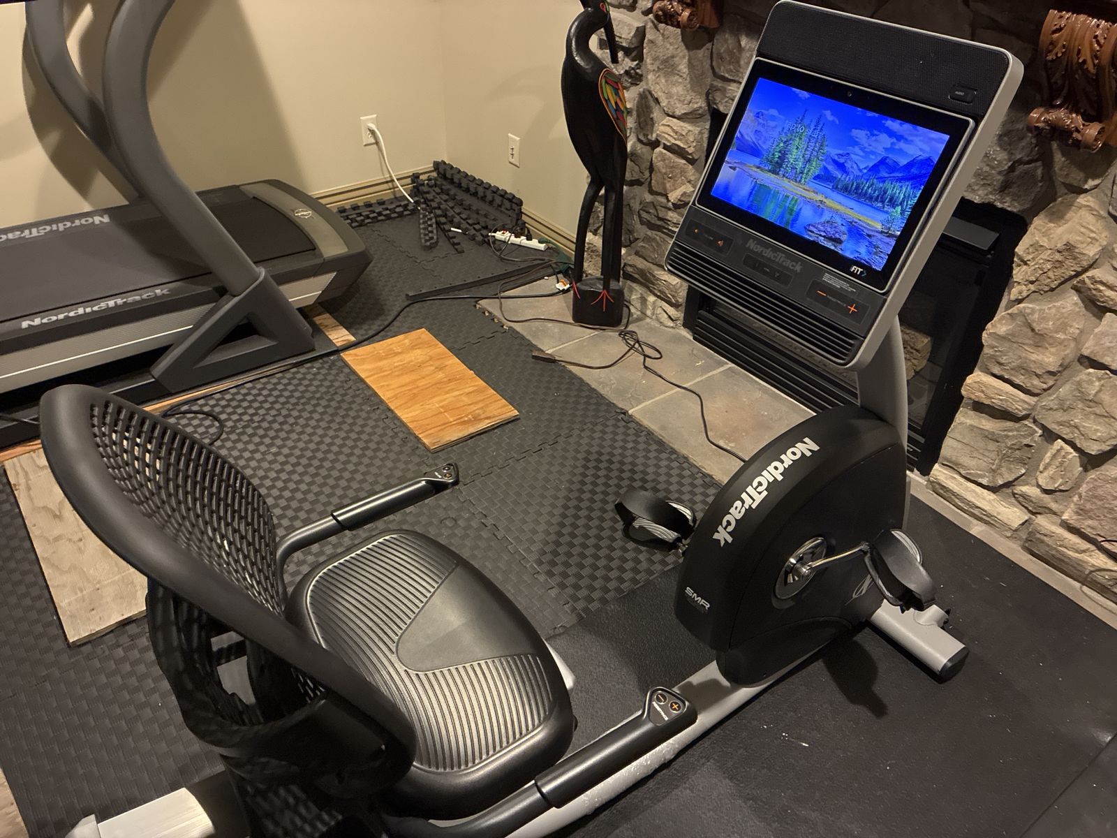 Nordic track R 35 recumbent  exercise bike
