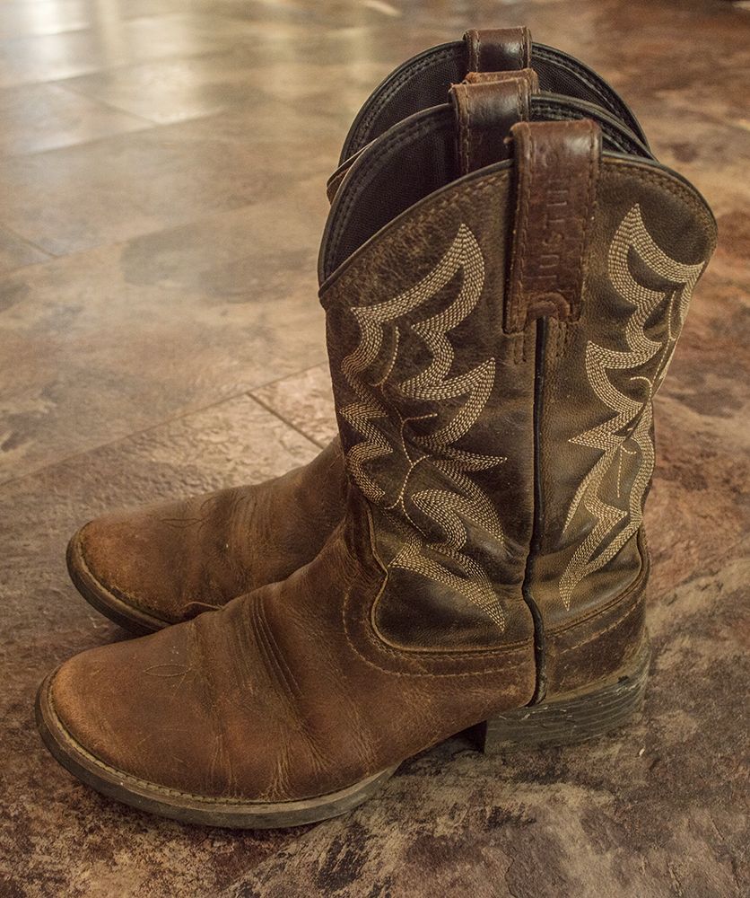 Cowboy/Horseback Riding boots
