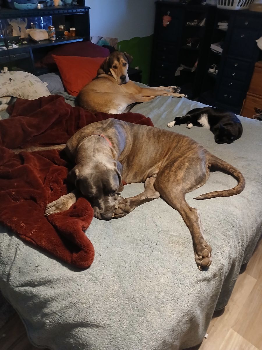Diesel needs a new family