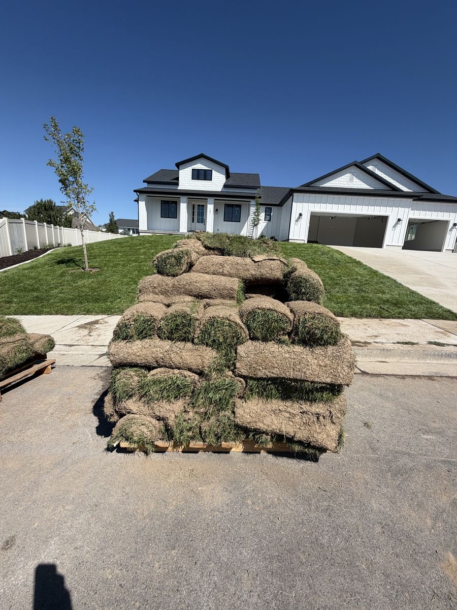 Beautiful sod