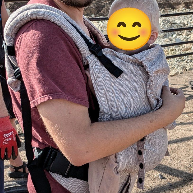 Tula toddler carrier