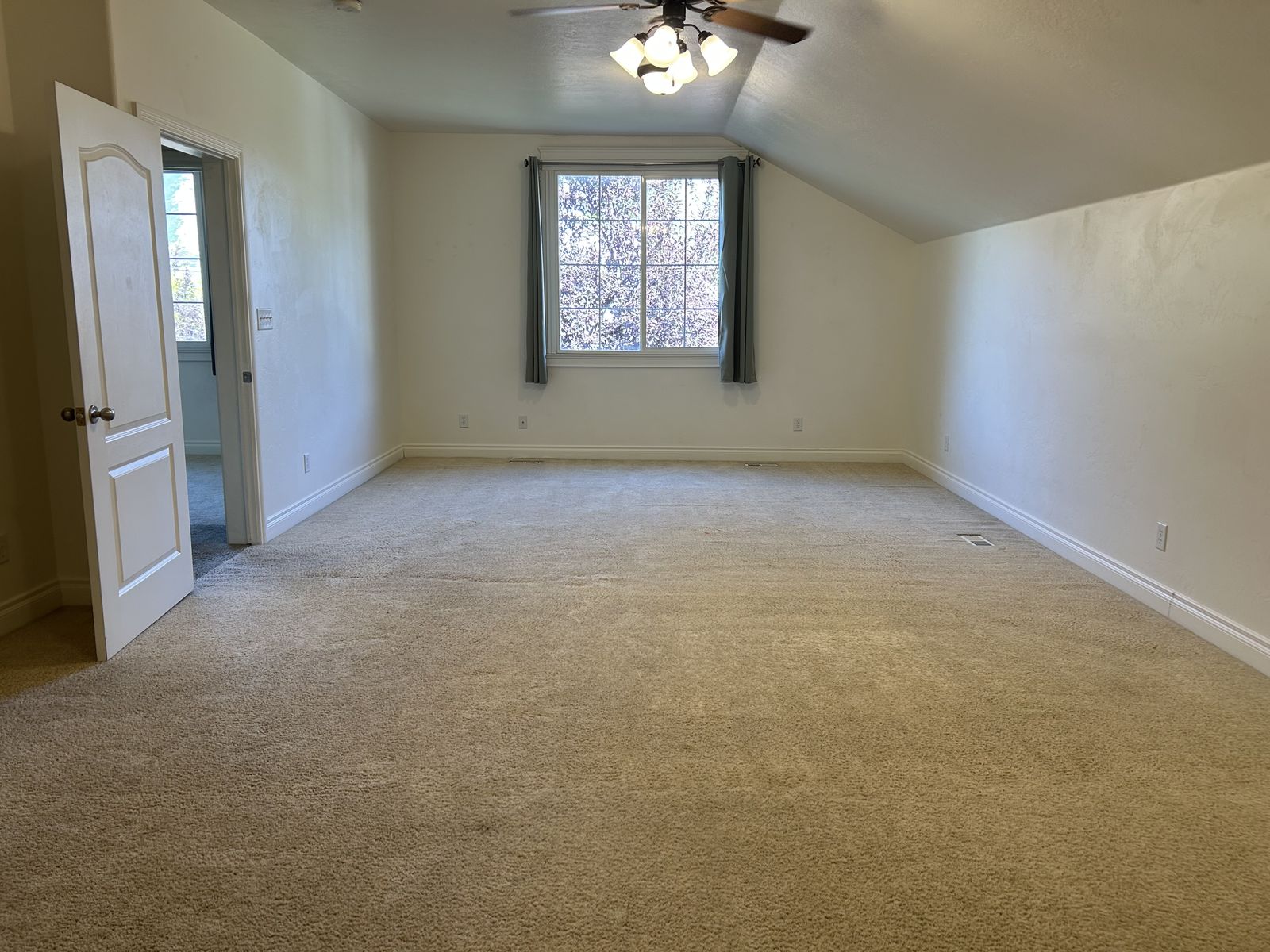 Main image 15