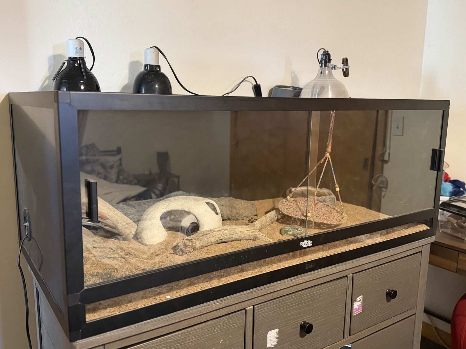 Bearded Dragon Lizard Cage