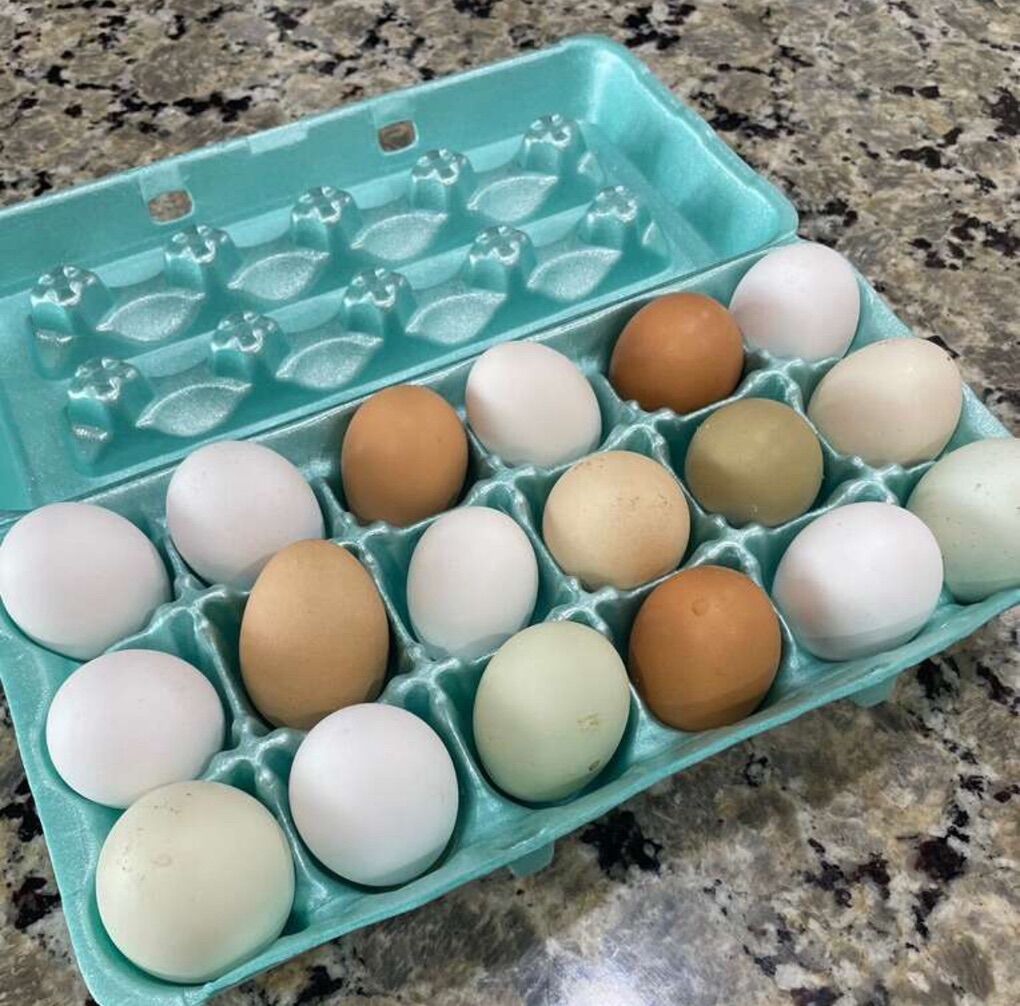 Farm Fresh Chicken Eggs