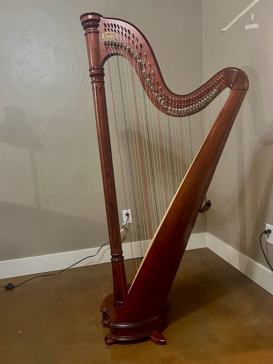 Salvi Ana Harp