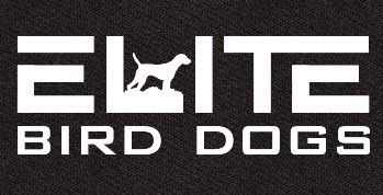 Elite Bird Dog Pointer Training!