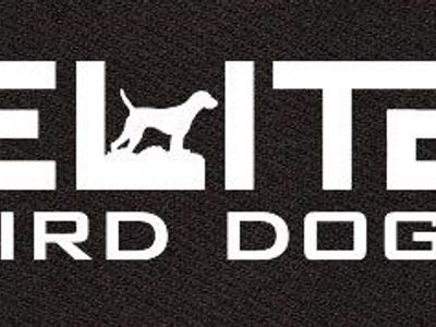 Elite Bird Dog Pointer Training!