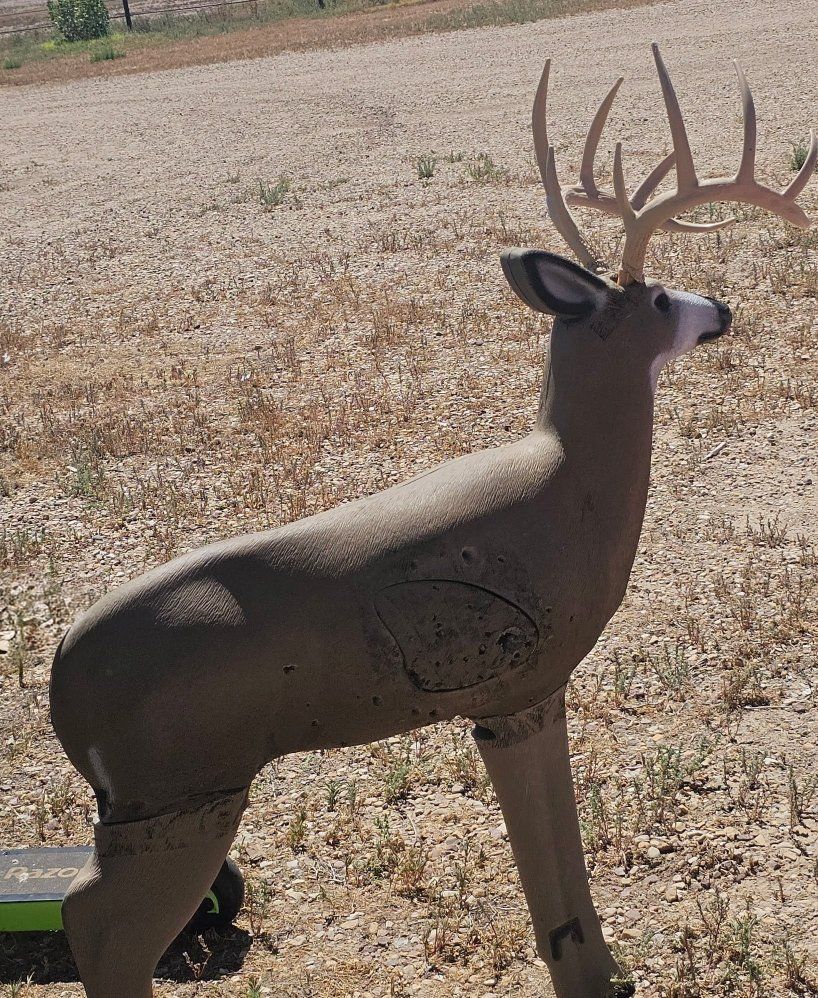 Realistic 3D Buck Deer Archery Target for Hunting Practice