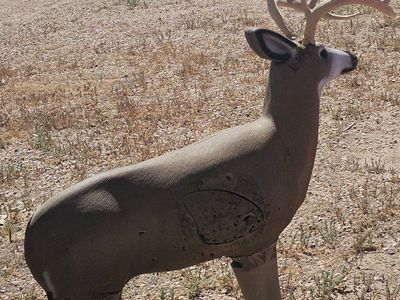 Realistic 3D Buck Deer Archery Target for Hunting Practice