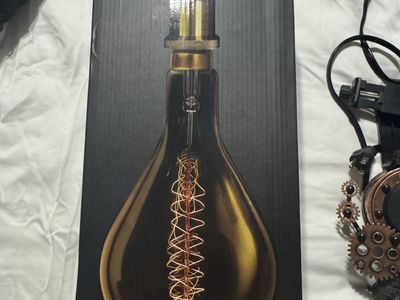 Feit vintage bulb pendant light