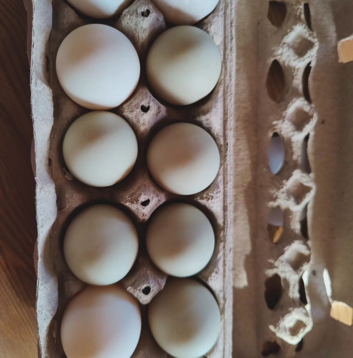 duck eggs
