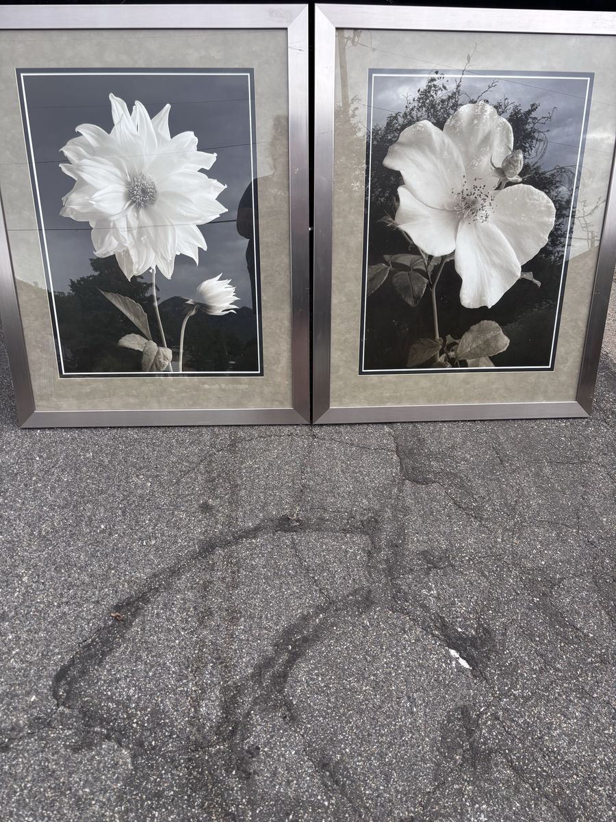 2 Huge Framed Pictures $40/both