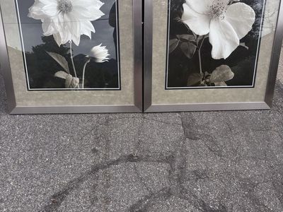 2 Huge Framed Pictures $40/both