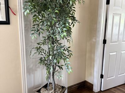 Tall fake ficus tree with metal pot 7’