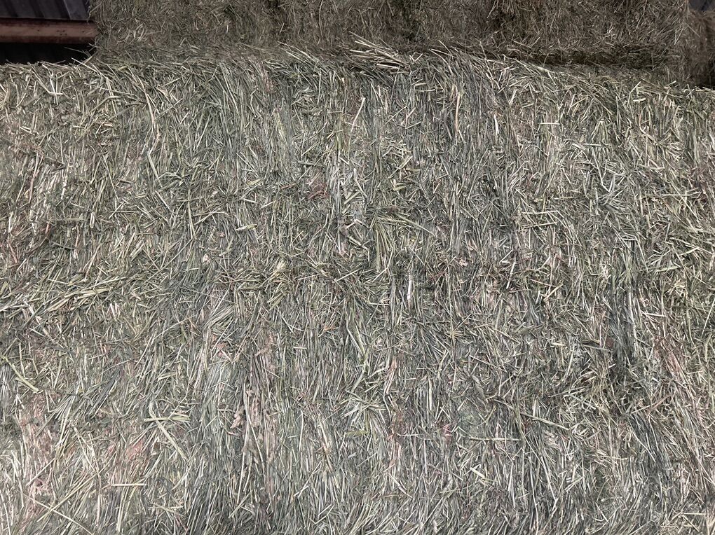 Alfalfa Grass Mix 3x3x8 Bales