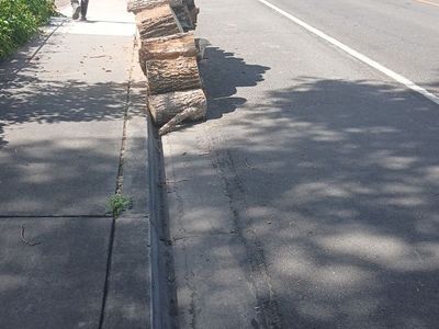 Free firewood dry hardwood ready for camping