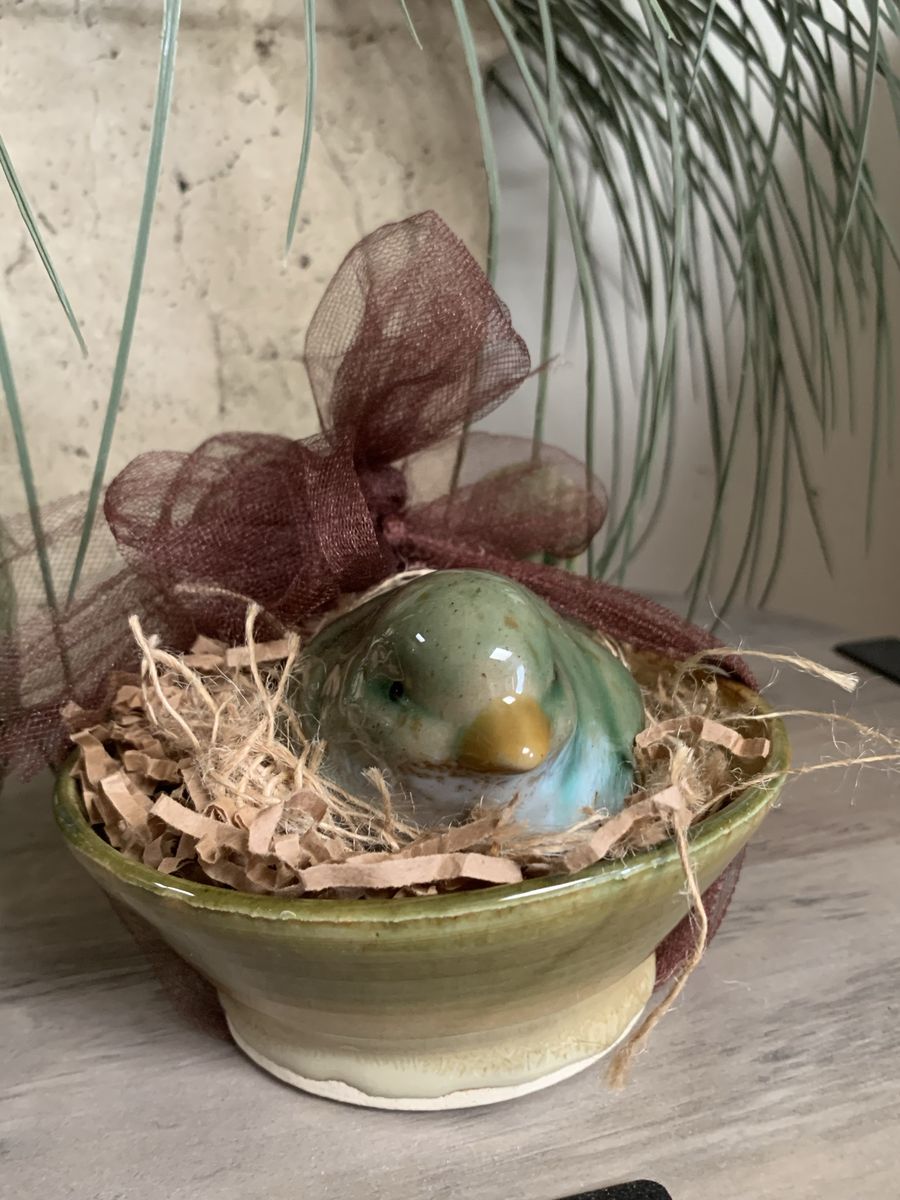 Birds Nest In A Bowl