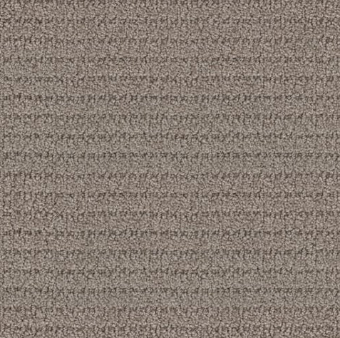 Carpet Remnant