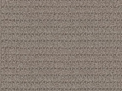 Carpet Remnant