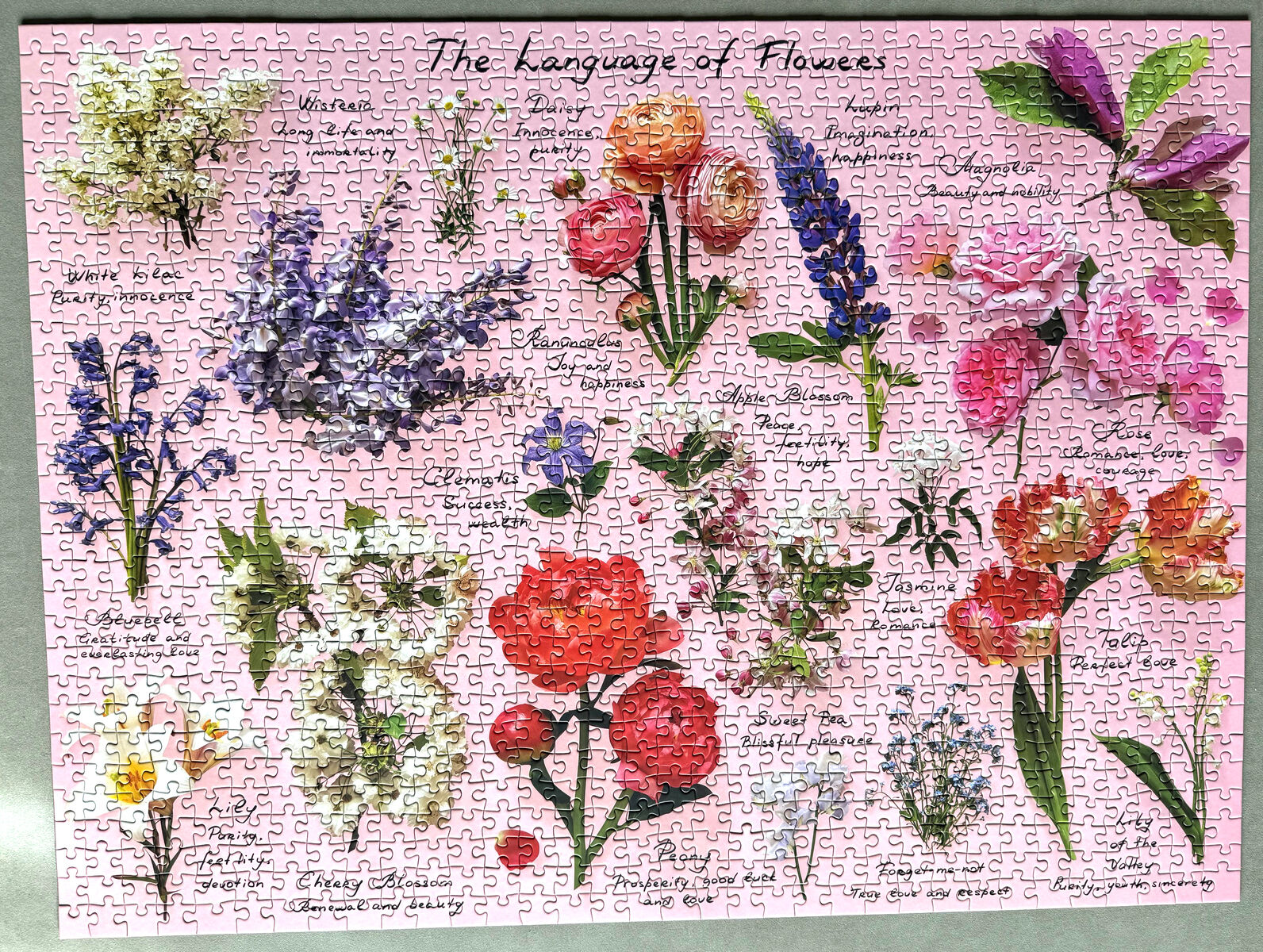 1000 Piece Jigsaw Puzzle, The Language of Flowers by Galison