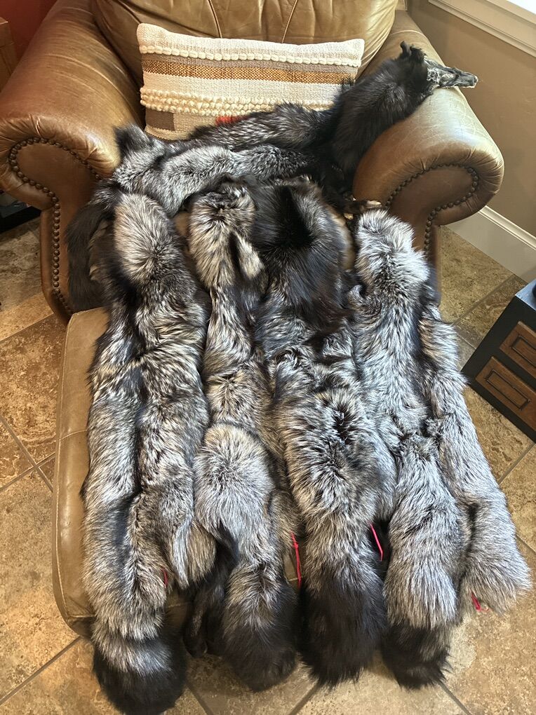 Silver Fox Pelts